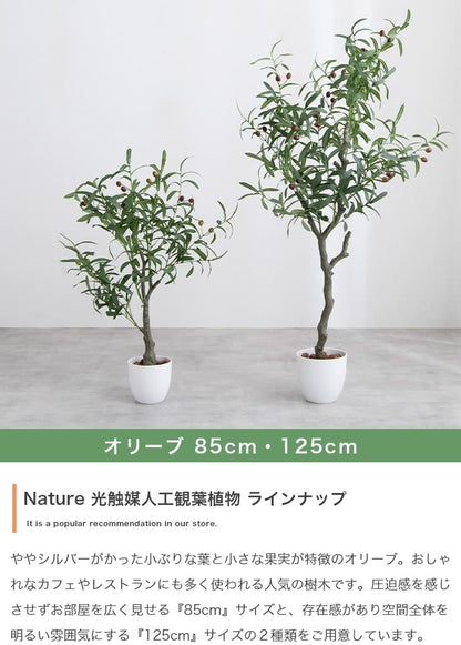 人工観葉植物 フェイクグリーン 光触媒 パキラ 高さ90cm