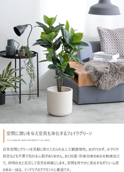 観葉植物 フェイクグリーン 光触媒 ゴムの木 高さ95cm