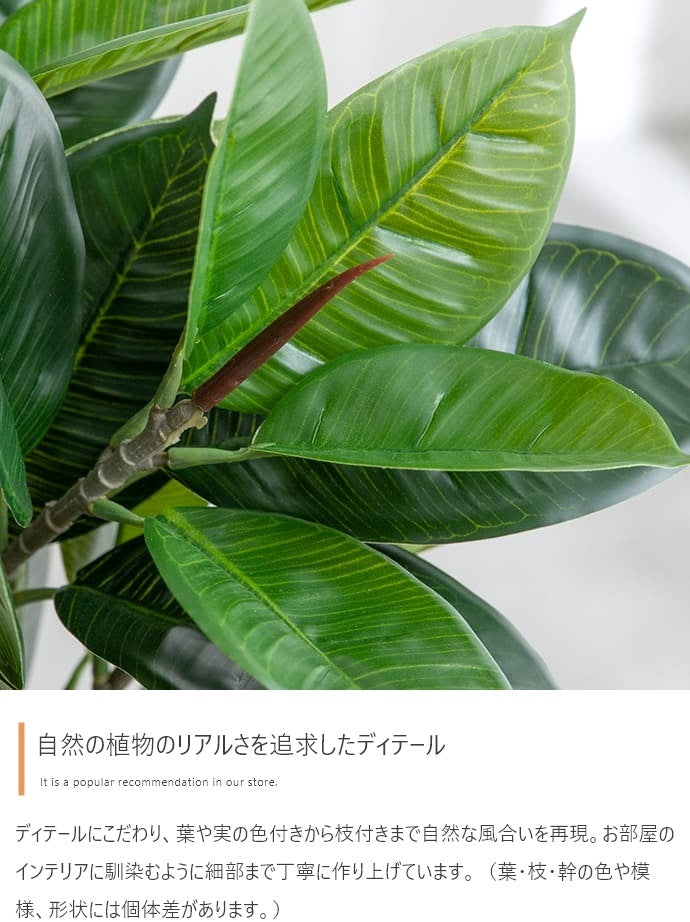 観葉植物 フェイクグリーン 光触媒 ゴムの木 高さ95cm