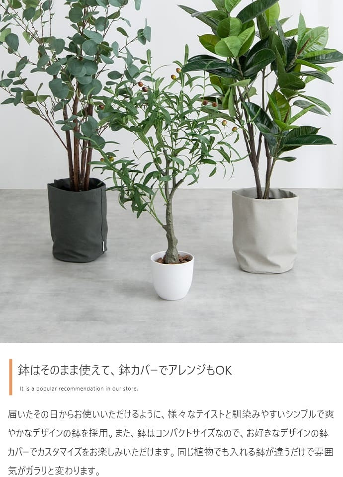 観葉植物 フェイクグリーン 光触媒 ゴムの木 高さ95cm
