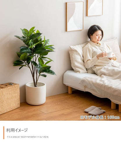 観葉植物 フェイクグリーン 光触媒 ゴムの木 高さ95cm