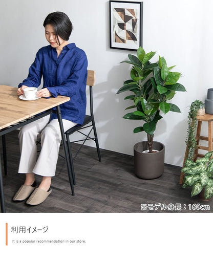 観葉植物 フェイクグリーン 光触媒 ゴムの木 高さ95cm