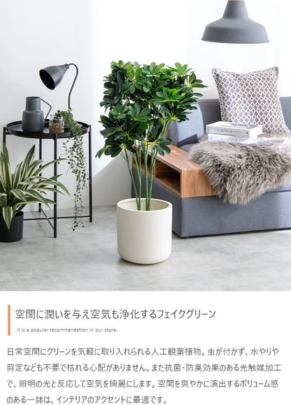 観葉植物 フェイクグリーン 光触媒 カポック 高さ90cm