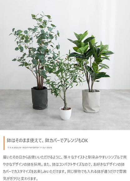 観葉植物 フェイクグリーン 光触媒 カポック 高さ90cm