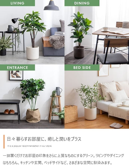 観葉植物 フェイクグリーン 光触媒 カポック 高さ90cm