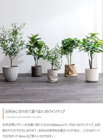 観葉植物 フェイクグリーン 光触媒 カポック 高さ90cm