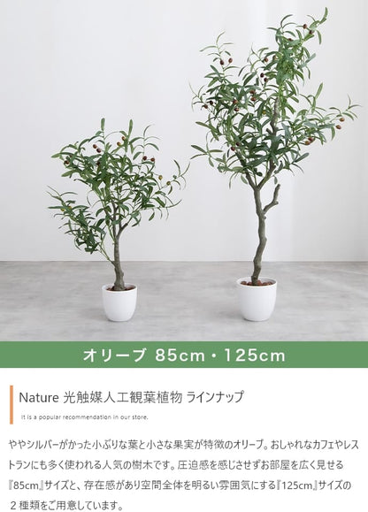 観葉植物 フェイクグリーン 光触媒 カポック 高さ90cm