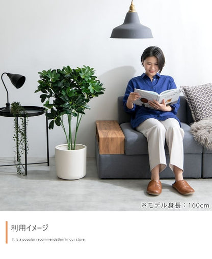 観葉植物 フェイクグリーン 光触媒 カポック 高さ90cm