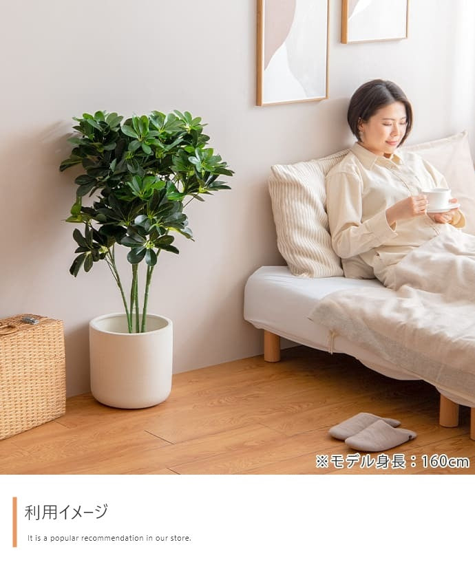 観葉植物 フェイクグリーン 光触媒 カポック 高さ90cm