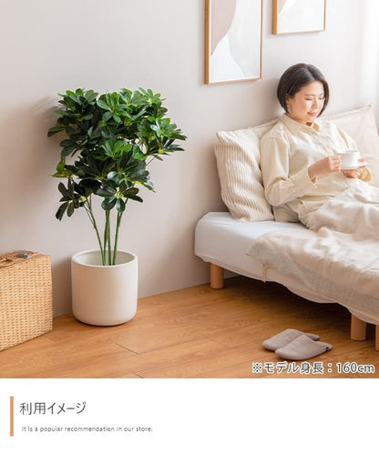 観葉植物 フェイクグリーン 光触媒 カポック 高さ90cm