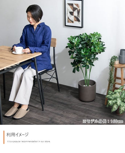 観葉植物 フェイクグリーン 光触媒 カポック 高さ90cm