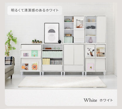 ガラスキャビネット 薄型 脚付き 幅60 本棚 ガラス扉付き 木製収納 北欧デザイン 高さ90cm リビングラック