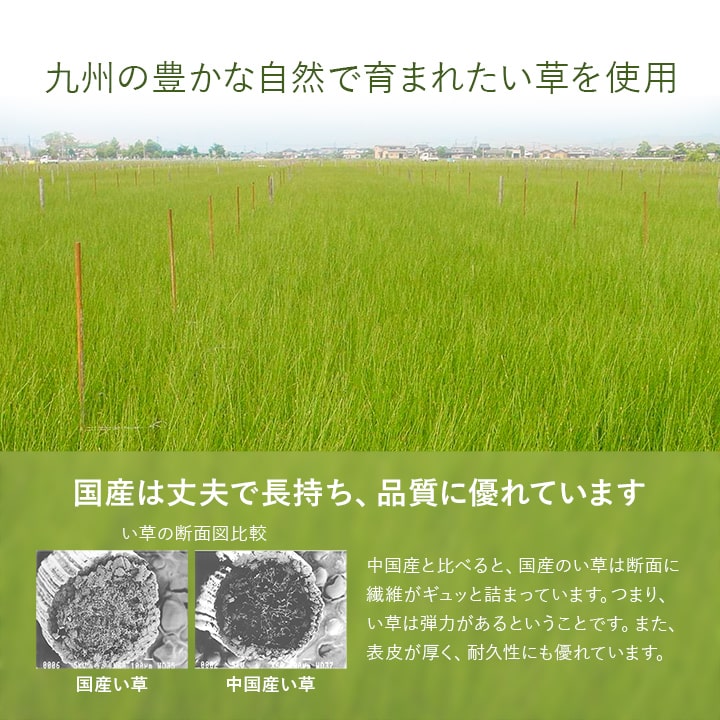 ユニット畳 システム畳 い草 82x164cm 1畳2枚組 国産 連結ジョイント付き