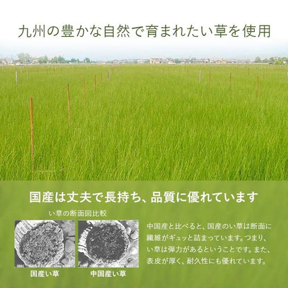 ユニット畳 システム畳 い草 82x164cm 1畳3枚組 国産 連結ジョイント付き