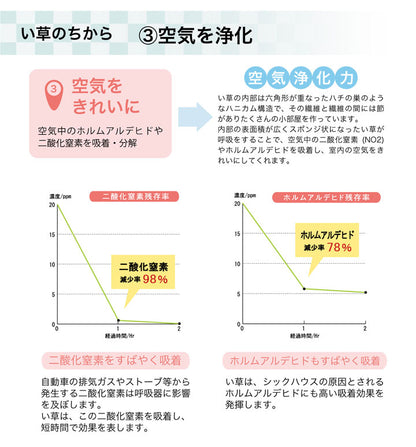 い草ラグ カーペット 190x190cm 撥水 格子柄 正方形 和室 リビング 滑り止め お手入れ簡単 夏 抗菌防臭
