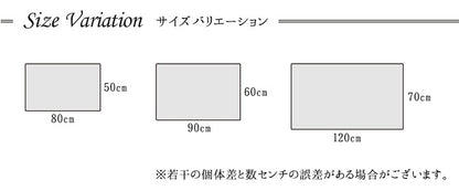 玄関マット 50x80cm トルコ製 ウィルトン織 抗菌防臭 カービング 消臭