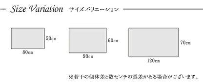 玄関マット 70x120cm トルコ製 ウィルトン織 抗菌防臭 カービング 消臭
