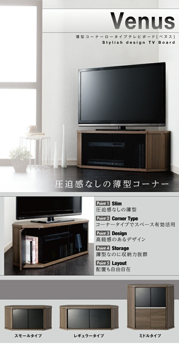 コーナーテレビボード 幅100cm レギュラータイプ 薄型 ロータイプ 隠しキャスター 収納