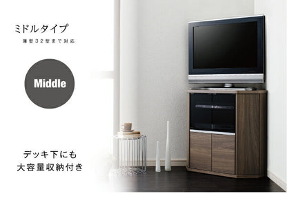 コーナーテレビボード 幅100cm レギュラータイプ 薄型 ロータイプ 隠しキャスター 収納