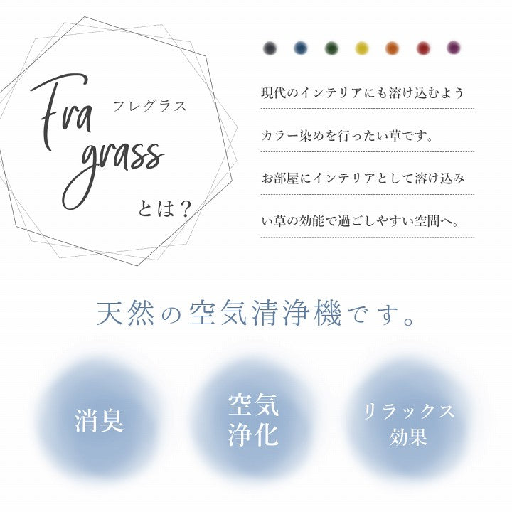 天然の消臭剤 Fragrass い草 70cm (50g束) インテリア 【5点以上組み合わせ】 オブジェ 国産 フラワーアレンジメント 抗菌防臭