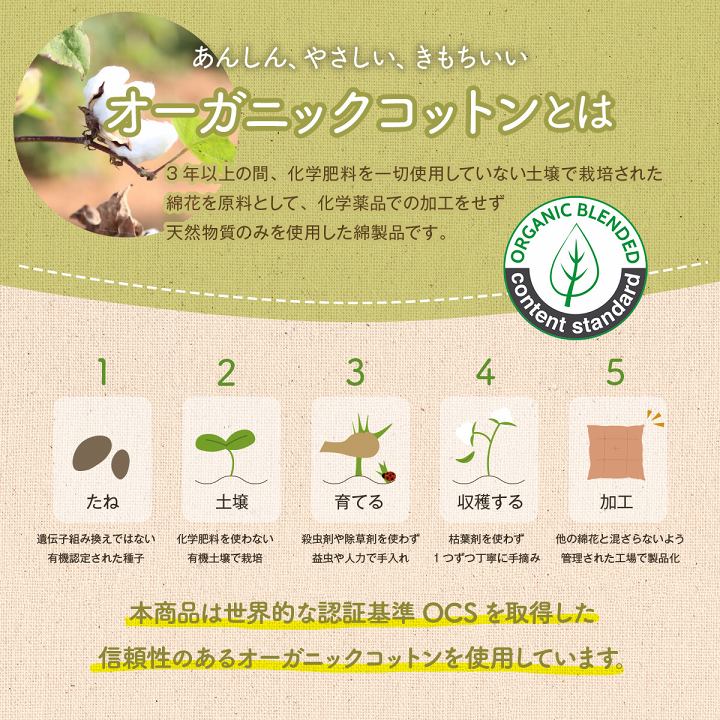 シートクッション 130x43cm オーガニックコットン 日本製 インド綿 ボーダー柄 ベンチ／ソファ／床置き