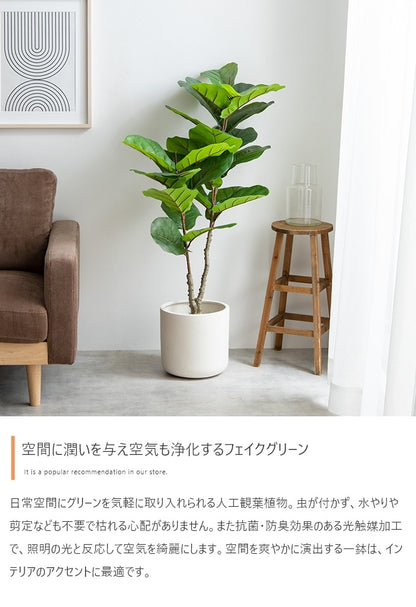 観葉植物 フェイクグリーン 光触媒 リラータ 高さ120cm