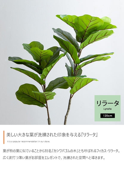 観葉植物 フェイクグリーン 光触媒 リラータ 高さ120cm