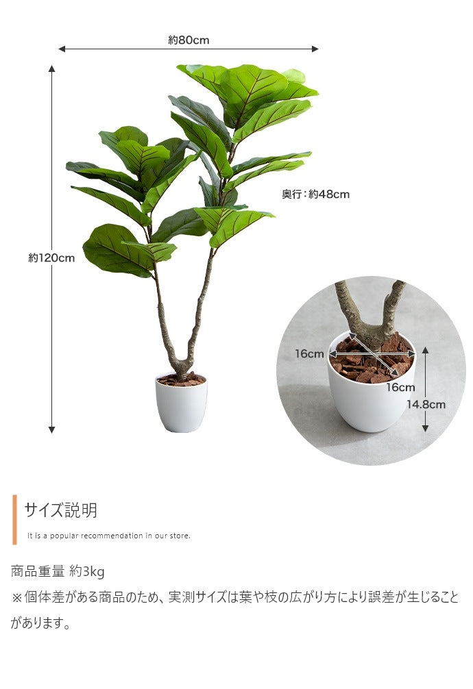 観葉植物 フェイクグリーン 光触媒 リラータ 高さ120cm