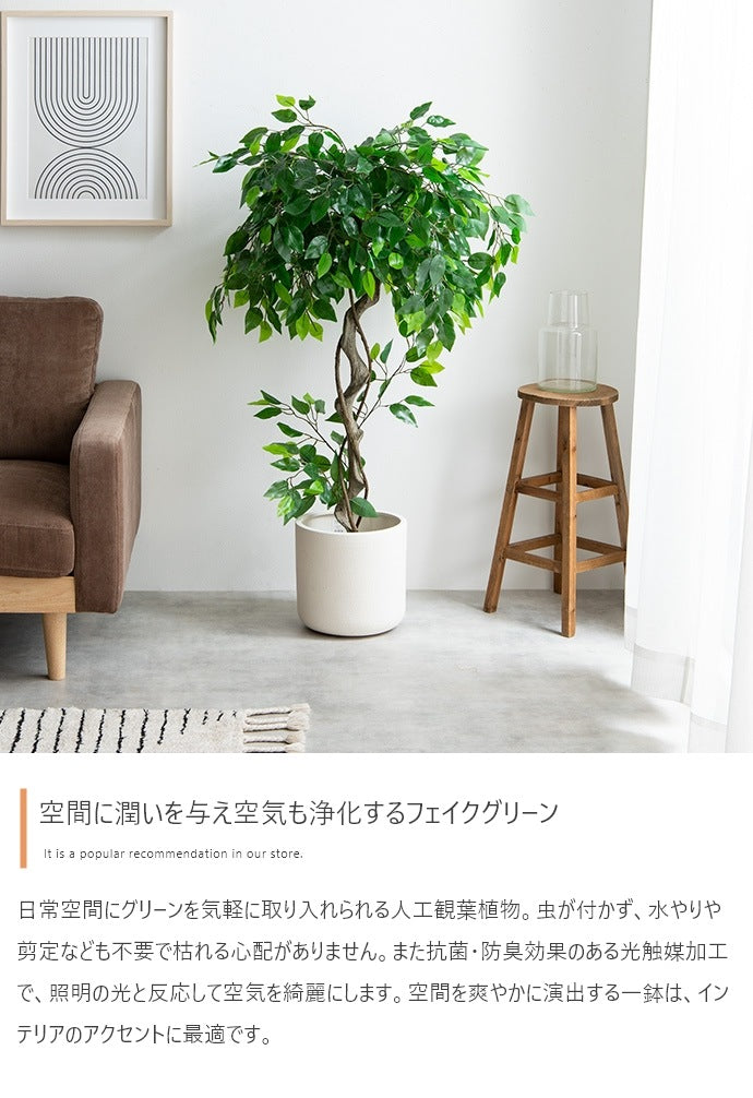 観葉植物 フェイクグリーン 光触媒 ベンジャミン 高さ120cm