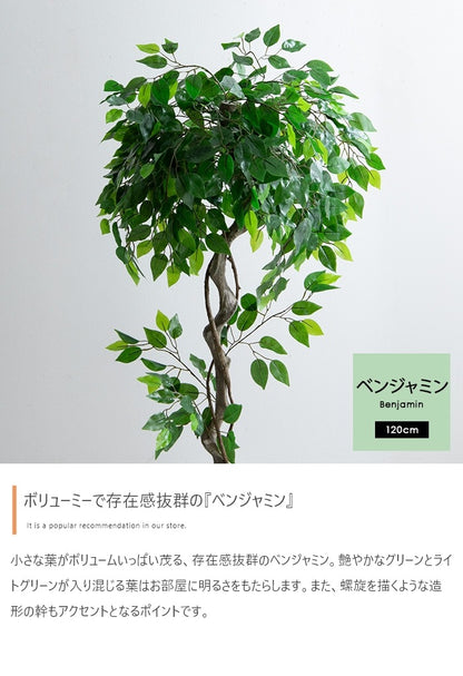 観葉植物 フェイクグリーン 光触媒 ベンジャミン 高さ120cm