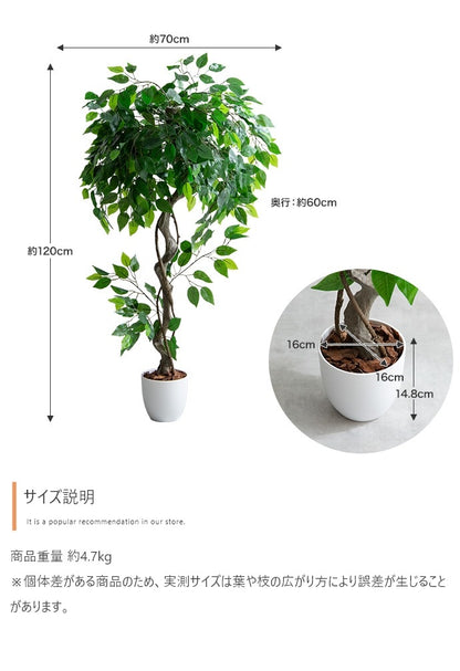 観葉植物 フェイクグリーン 光触媒 ベンジャミン 高さ120cm