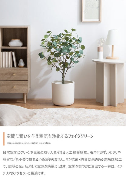 観葉植物 フェイクグリーン 光触媒 ユーカリ 高さ85cmタイプ