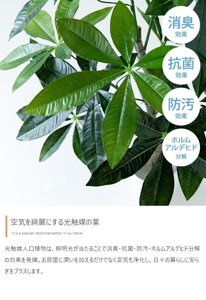 観葉植物 フェイクグリーン 光触媒 ユーカリ 高さ85cmタイプ