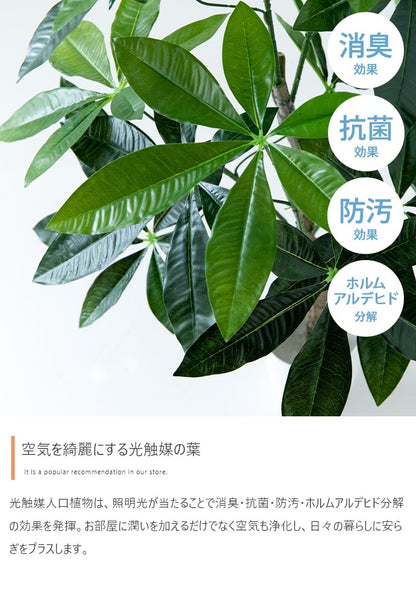 観葉植物 フェイクグリーン 光触媒 ユーカリ 高さ85cmタイプ