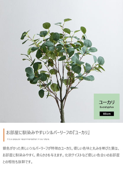 観葉植物 フェイクグリーン 光触媒 ユーカリ 高さ85cmタイプ