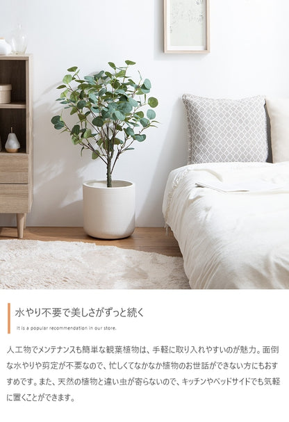 観葉植物 フェイクグリーン 光触媒 ユーカリ 高さ85cmタイプ