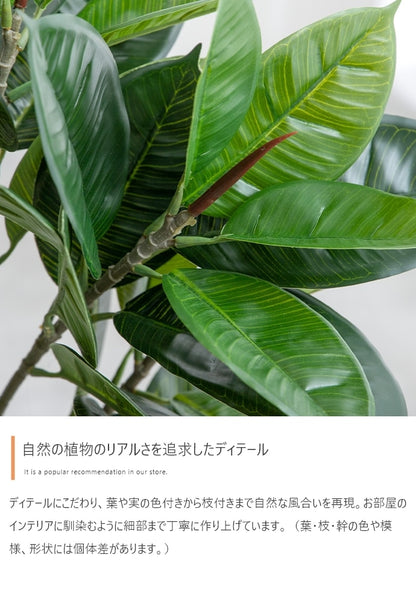 観葉植物 フェイクグリーン 光触媒 ユーカリ 高さ85cmタイプ