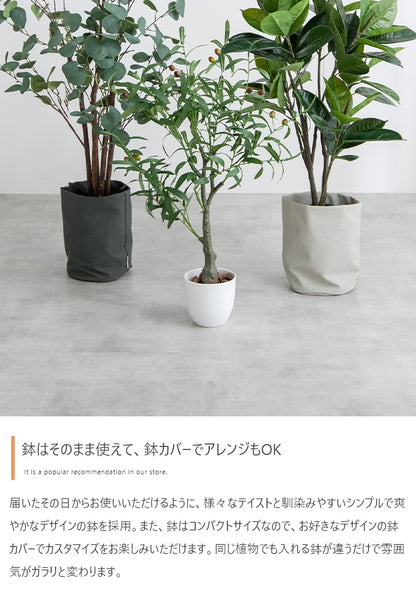観葉植物 フェイクグリーン 光触媒 ユーカリ 高さ85cmタイプ