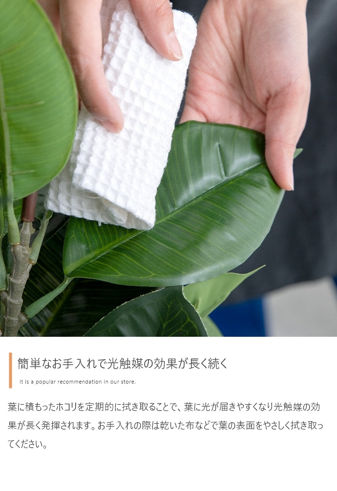 観葉植物 フェイクグリーン 光触媒 ユーカリ 高さ85cmタイプ