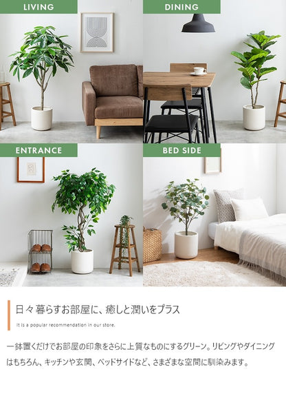 観葉植物 フェイクグリーン 光触媒 ユーカリ 高さ85cmタイプ