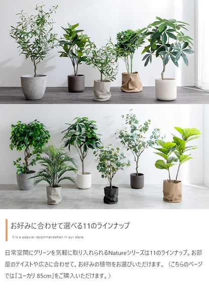 観葉植物 フェイクグリーン 光触媒 ユーカリ 高さ85cmタイプ