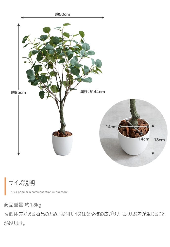観葉植物 フェイクグリーン 光触媒 ユーカリ 高さ85cmタイプ