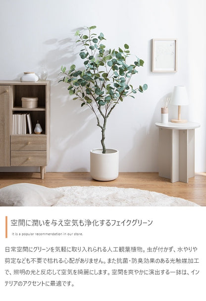 観葉植物 フェイクグリーン 光触媒 ユーカリ 高さ130cmタイプ