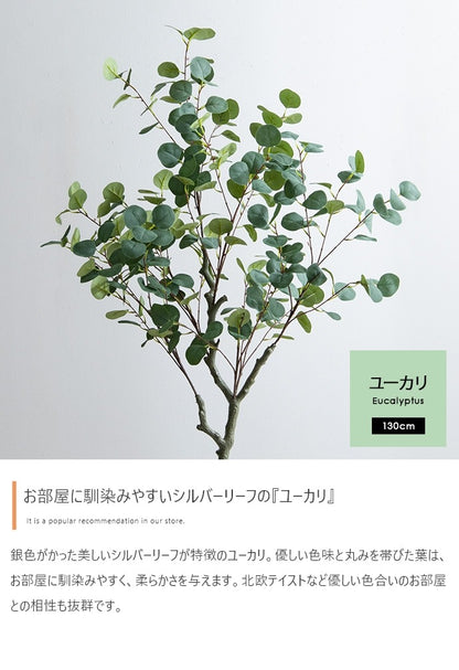 観葉植物 フェイクグリーン 光触媒 ユーカリ 高さ130cmタイプ