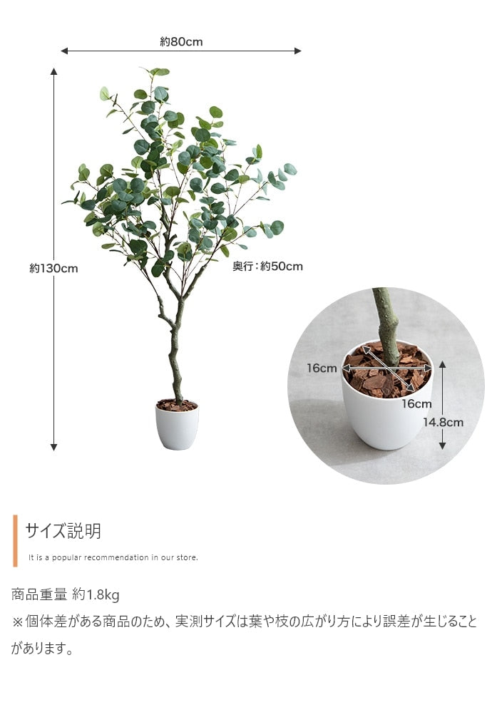 観葉植物 フェイクグリーン 光触媒 ユーカリ 高さ130cmタイプ