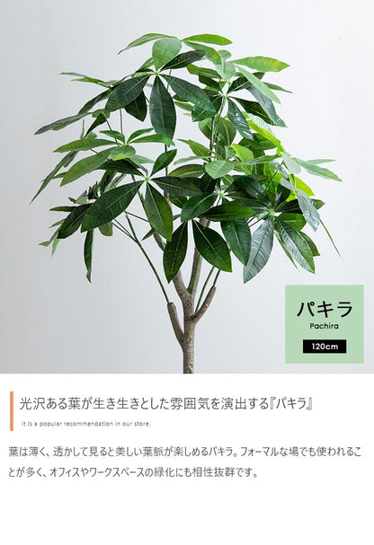 観葉植物 フェイクグリーン 光触媒 パキラ 高さ120cm