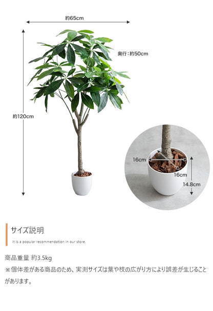 観葉植物 フェイクグリーン 光触媒 パキラ 高さ120cm