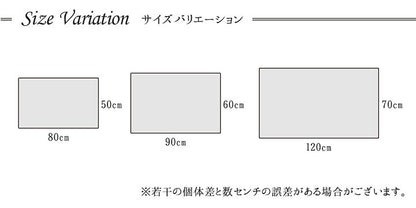 玄関マット 60x90cm ギャベ柄 ウィルトン織 消臭 抗菌 軽量 トルコ製