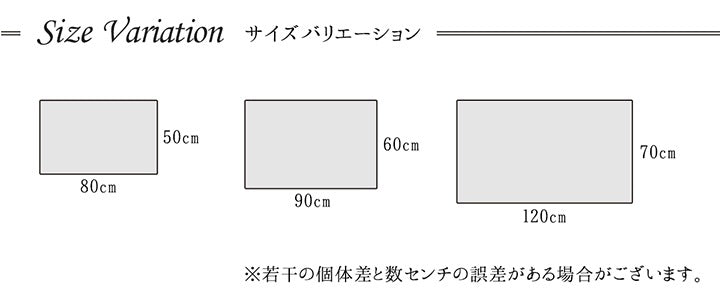 玄関マット 60x90cm メダリオン柄 ウィルトン織 抗菌防臭 トルコ製