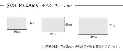 大きめ 玄関マット 70x120cm メダリオン柄 ウィルトン織 抗菌防臭 トルコ製